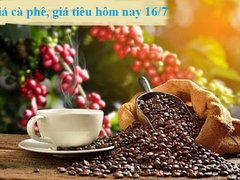 Post cover 1147008