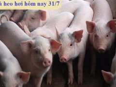 Post cover 1147857