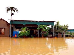 Post cover 1151074