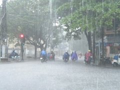 Post cover 1151456