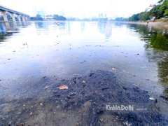 Post cover 1157159