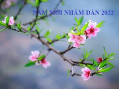 Post cover 1157427
