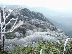Post cover 1157535