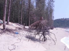 Post cover 1158174