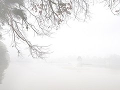 Post cover 1159839