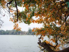 Post cover 1160053
