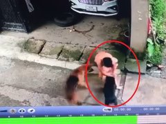 Post cover 1162622