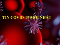 Post cover 1163984