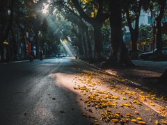 Post cover 1164294