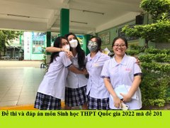 Post cover 1164710