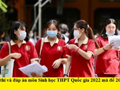 Post cover 1164713
