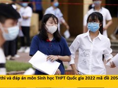 Post cover 1164731