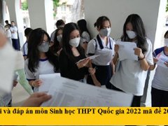 Post cover 1164732