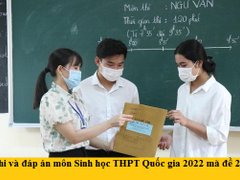 Post cover 1164734