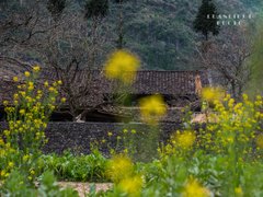 Post cover 1167724