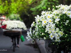 Post cover 1167853