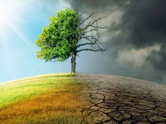 Post cover 1167856
