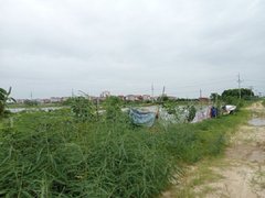 Post cover 1168937