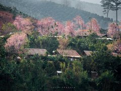 Post cover 1135986
