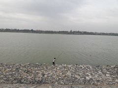 Post cover 1116642