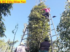 Post cover 1128547