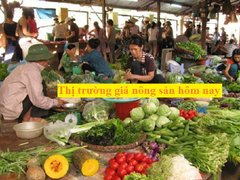 Post cover 1128859