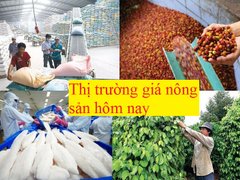 Post cover 1128921
