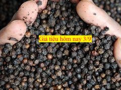 Post cover 1129179