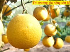 Post cover 1129261