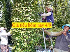 Post cover 1129258