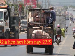 Post cover 1130306