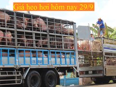 Post cover 1130640