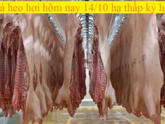 Post cover 1131574