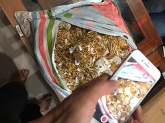 Post cover 1137494