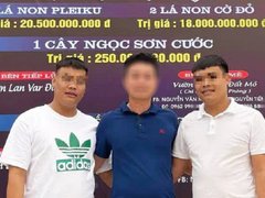 Post cover 1140595