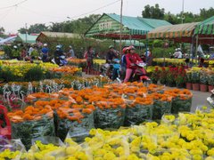 Post cover 1156671