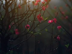Post cover 1112722