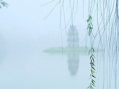 Post cover 1113399