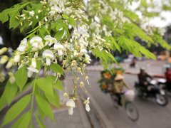 Post cover 1114514