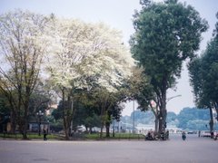 Post cover 1114658