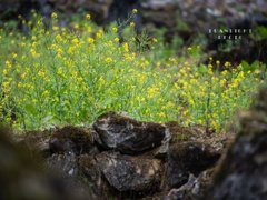 Post cover 1115488