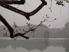 Post cover 1116297