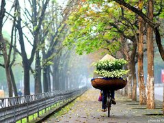 Post cover 1117451