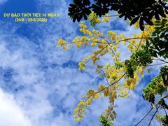 Post cover 1123180