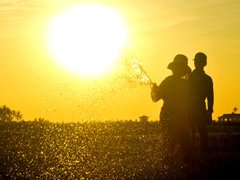 Post cover 1124639