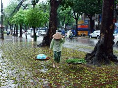 Post cover 1129607