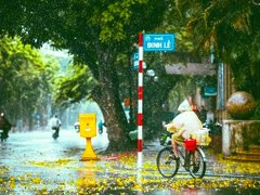 Post cover 1130572