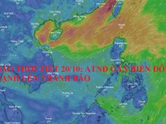 Post cover 1131924