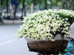 Post cover 1133552