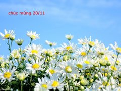 Post cover 1133757
